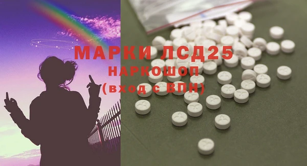 шишки Краснотурьинск