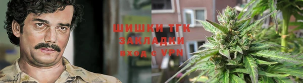 шишки Краснотурьинск