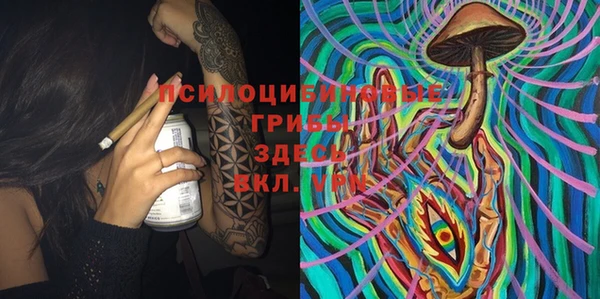 шишки Краснотурьинск