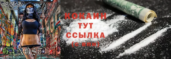 шишки Краснотурьинск