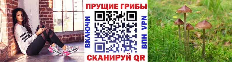 Псилоцибиновые грибы GOLDEN TEACHER  мега как войти  Липецк 