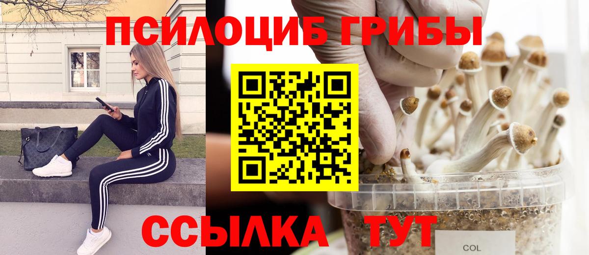 Псилоцибиновые грибы мицелий Липецк