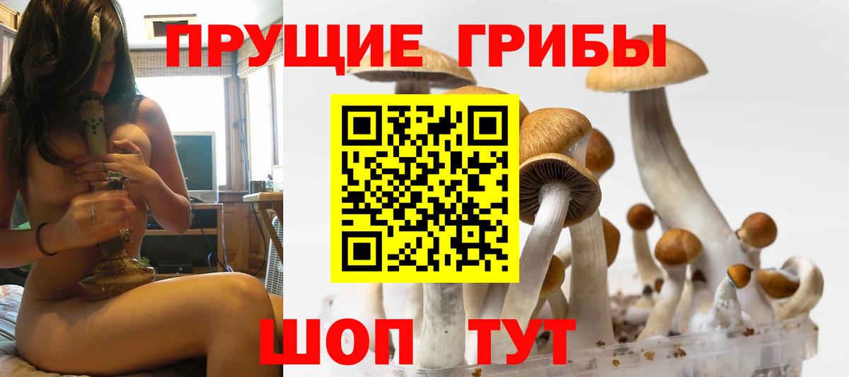 Псилоцибиновые грибы прущие грибы Липецк