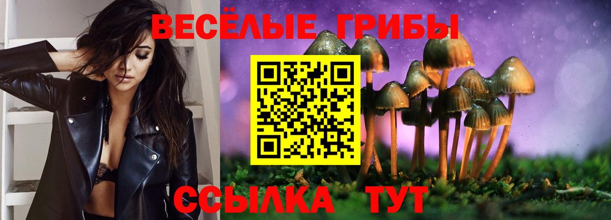 Липецк  Галлюциногенные грибы Psilocybine cubensis  Вход с VPN 